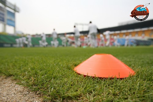 2013년 6월 8일 LG戰